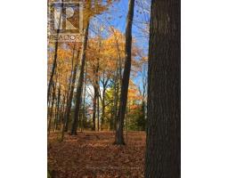 6677 Concession 2 Road, Uxbridge, ON L6P0H6 Photo 25