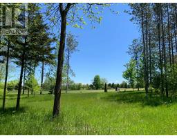 6677 Concession 2 Road, Uxbridge, ON L6P0H6 Photo 42