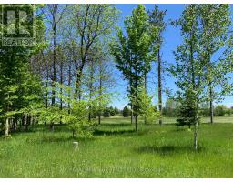 6677 Concession 2 Road, Uxbridge, ON L6P0H6 Photo 44