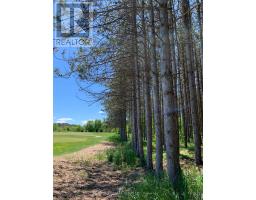 6677 Concession 2 Road, Uxbridge, ON L6P0H6 Photo 43