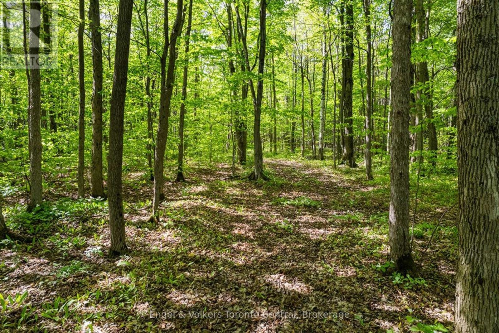 268 FOX RIDGE ROAD - 33