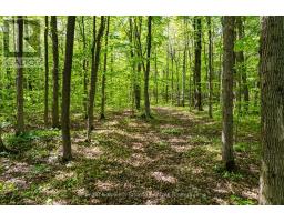 268 Fox Ridge Road, Grey Highlands, ON N0H1J0 Photo 33