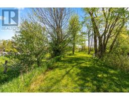 268 Fox Ridge Road, Grey Highlands, ON N0H1J0 Photo 27