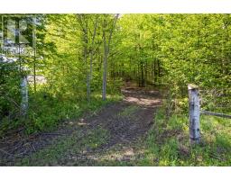 268 Fox Ridge Road, Grey Highlands, ON N0H1J0 Photo 32