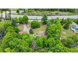 20 Art Bott Road, North Kawartha, ON K0L1A0 Photo 39