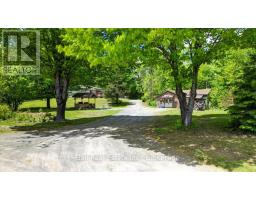 20 Art Bott Road, North Kawartha, ON K0L1A0 Photo 40