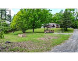 20 Art Bott Road, North Kawartha, ON K0L1A0 Photo 46