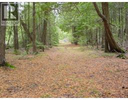 V/l Warner Bay Road, Bruce County, ON N0H2R0 Photo 10