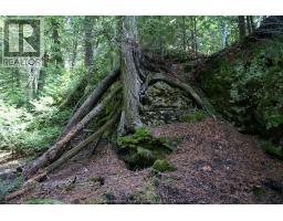 V/l Warner Bay Road, Bruce County, ON N0H2R0 Photo 12