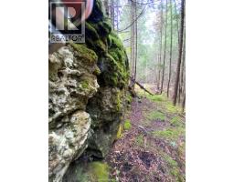 V/l Warner Bay Road, Bruce County, ON N0H2R0 Photo 14