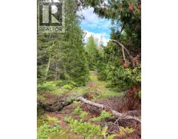 V/l Warner Bay Road, Bruce County, ON N0H2R0 Photo 16