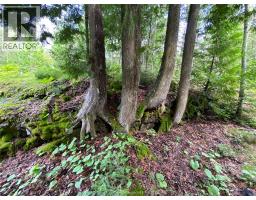 V/l Warner Bay Road, Bruce County, ON N0H2R0 Photo 17