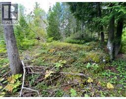V/l Warner Bay Road, Bruce County, ON N0H2R0 Photo 18