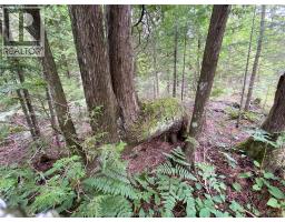V/l Warner Bay Road, Bruce County, ON N0H2R0 Photo 20