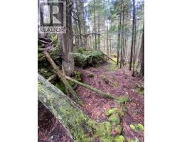 V/l Warner Bay Road, Bruce County, ON N0H2R0 Photo 22