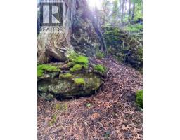 V/l Warner Bay Road, Bruce County, ON N0H2R0 Photo 24