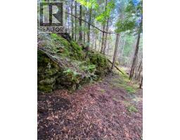 V/l Warner Bay Road, Bruce County, ON N0H2R0 Photo 25