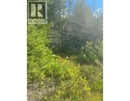 V/l Warner Bay Road, Bruce County, ON N0H2R0 Photo 26