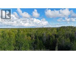 V/l Warner Bay Road, Bruce County, ON N0H2R0 Photo 27