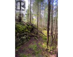 V/l Warner Bay Road, Bruce County, ON N0H2R0 Photo 28