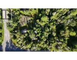 V/l Warner Bay Road, Bruce County, ON N0H2R0 Photo 33