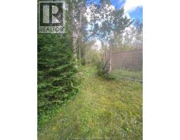 V/l Warner Bay Road, Bruce County, ON N0H2R0 Photo 35