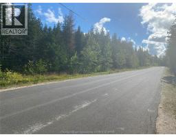V/l Warner Bay Road, Bruce County, ON N0H2R0 Photo 40