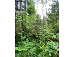 V/l Warner Bay Road, Bruce County, ON N0H2R0 Photo 43