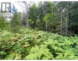 V/l Warner Bay Road, Bruce County, ON N0H2R0 Photo 44