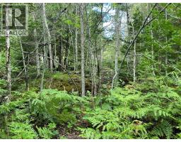 V/l Warner Bay Road, Bruce County, ON N0H2R0 Photo 45