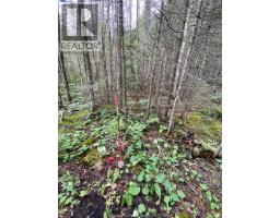 V/l Warner Bay Road, Bruce County, ON N0H2R0 Photo 6