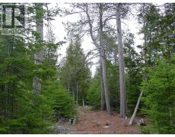 V/l Warner Bay Road, Bruce County, ON N0H2R0 Photo 8