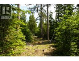 V/l Warner Bay Road, Bruce County, ON N0H2R0 Photo 9