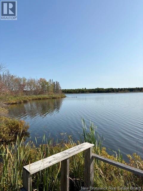 165 Green Road - 5