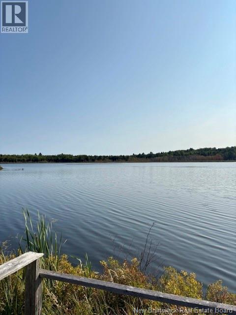 165 Green Road - 6