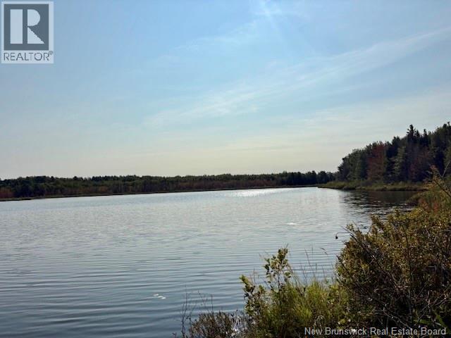 165 Green Road - 8