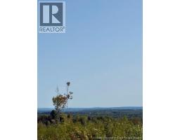 165 Green Road, Richmond, NB E7N2H1 Photo 15