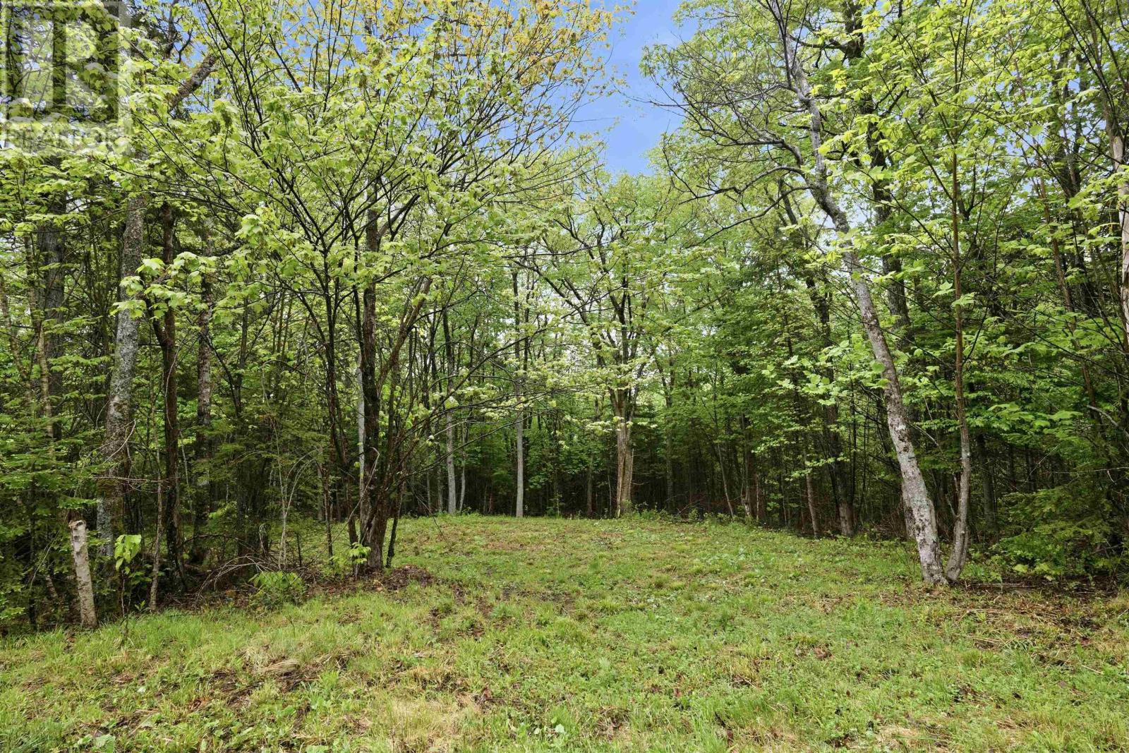 Property 2 of 50 of 74 Forestview Way