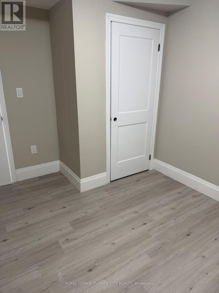 BASEMENT - 406 SOPHIA CRESCENT
