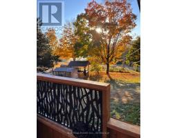 20 Art Bott Road, North Kawartha, ON K0L1A0 Photo 47