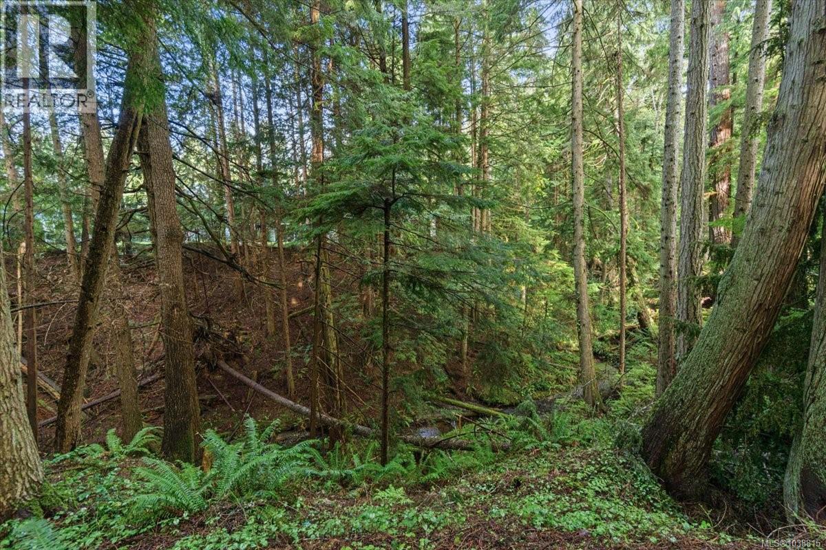 324 Chester Rd, Qualicum Beach