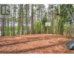83 Chapel Road, Madawaska Valley, ON K0J2M0 Photo 29