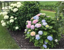 31 Morning Glory Drive, Tillsonburg, ON N4G5S9 Photo 15