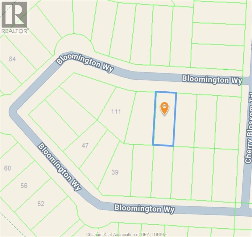 119 BLOOMINGTON WAY - 49
