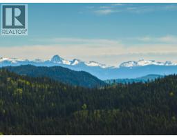 4384 Birch Lake Dump Road, Bridge Lake, BC V0K1E0 Photo 16