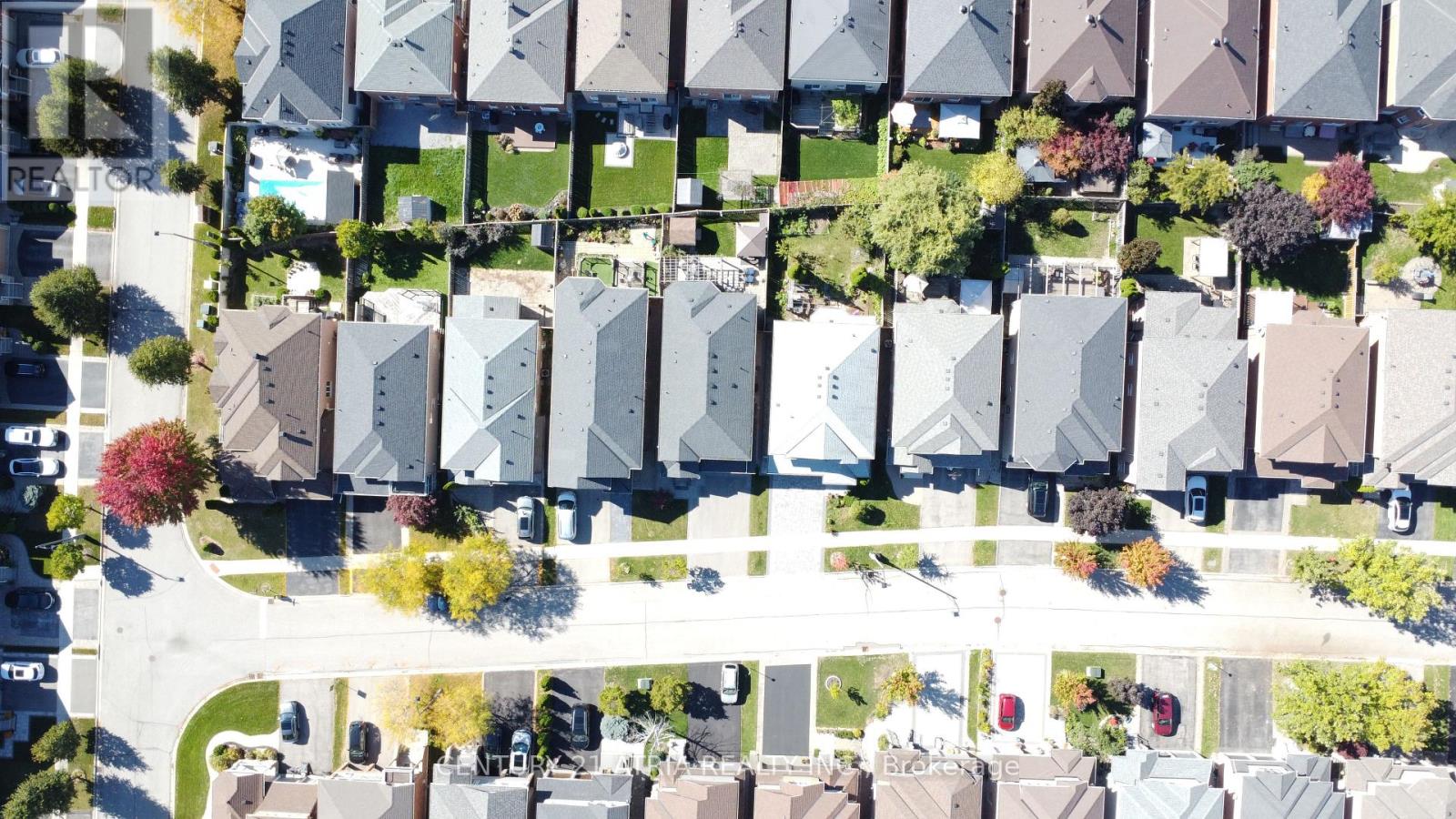 18 ABBOTT AVENUE - 28
