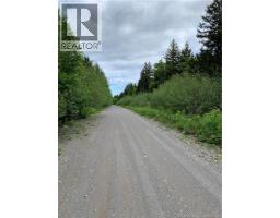 Lot 15-b Burchills Flats, St  Martins, NB E5R1V2 Photo 6