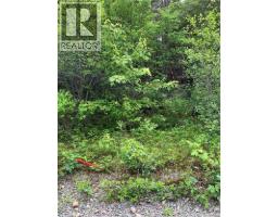 Lot 15-b Burchills Flats, St  Martins, NB E5R1V2 Photo 7