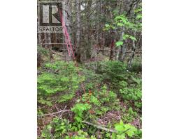 Lot 15-b Burchills Flats, St  Martins, NB E5R1V2 Photo 8