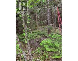 Lot 15-b Burchills Flats, St  Martins, NB E5R1V2 Photo 9